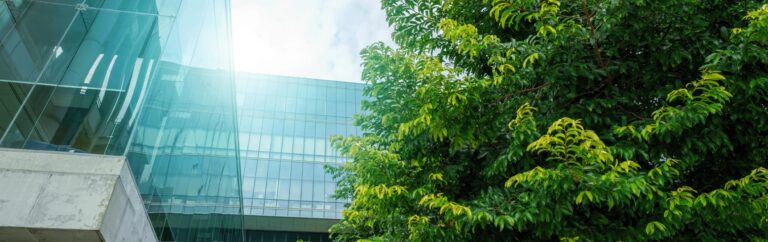 Sustainability in Construction: Why It Matters, Best Practices